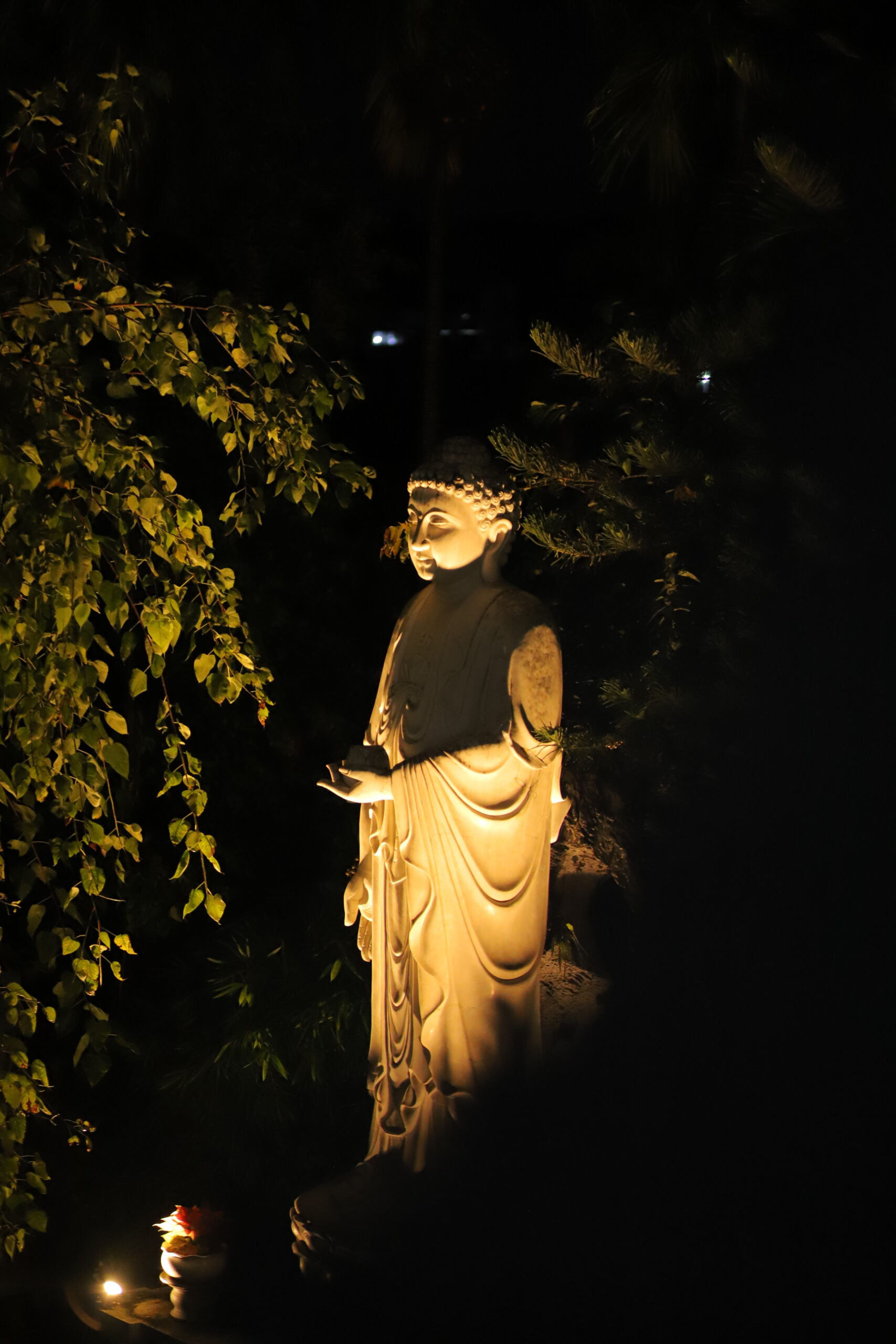 Hình ảnh minh họa