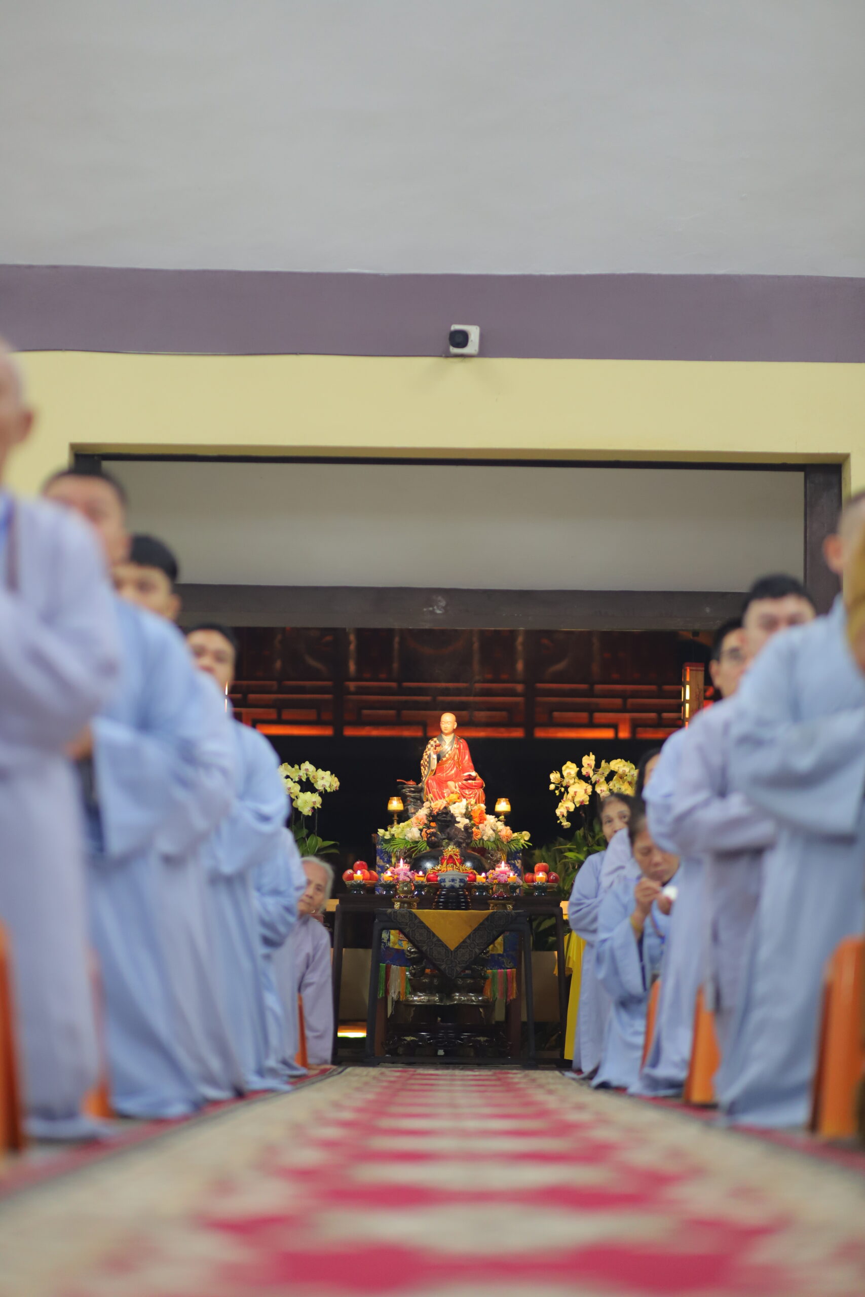 Hình ảnh minh họa