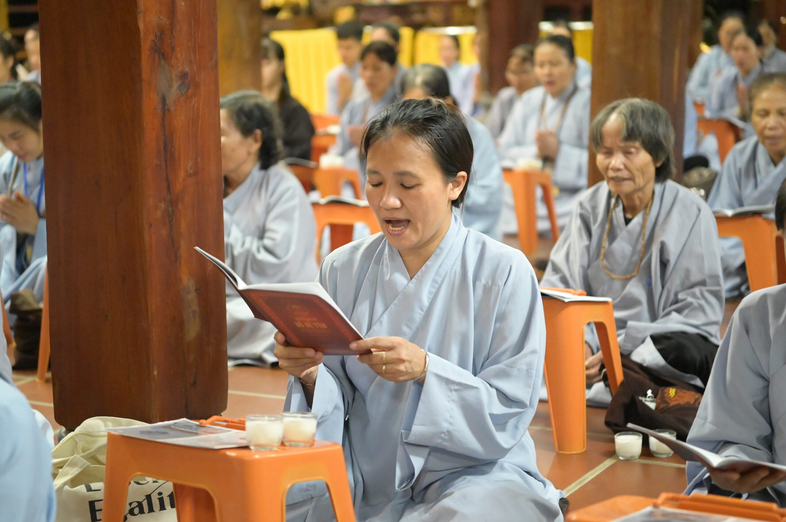 Hình ảnh minh họa