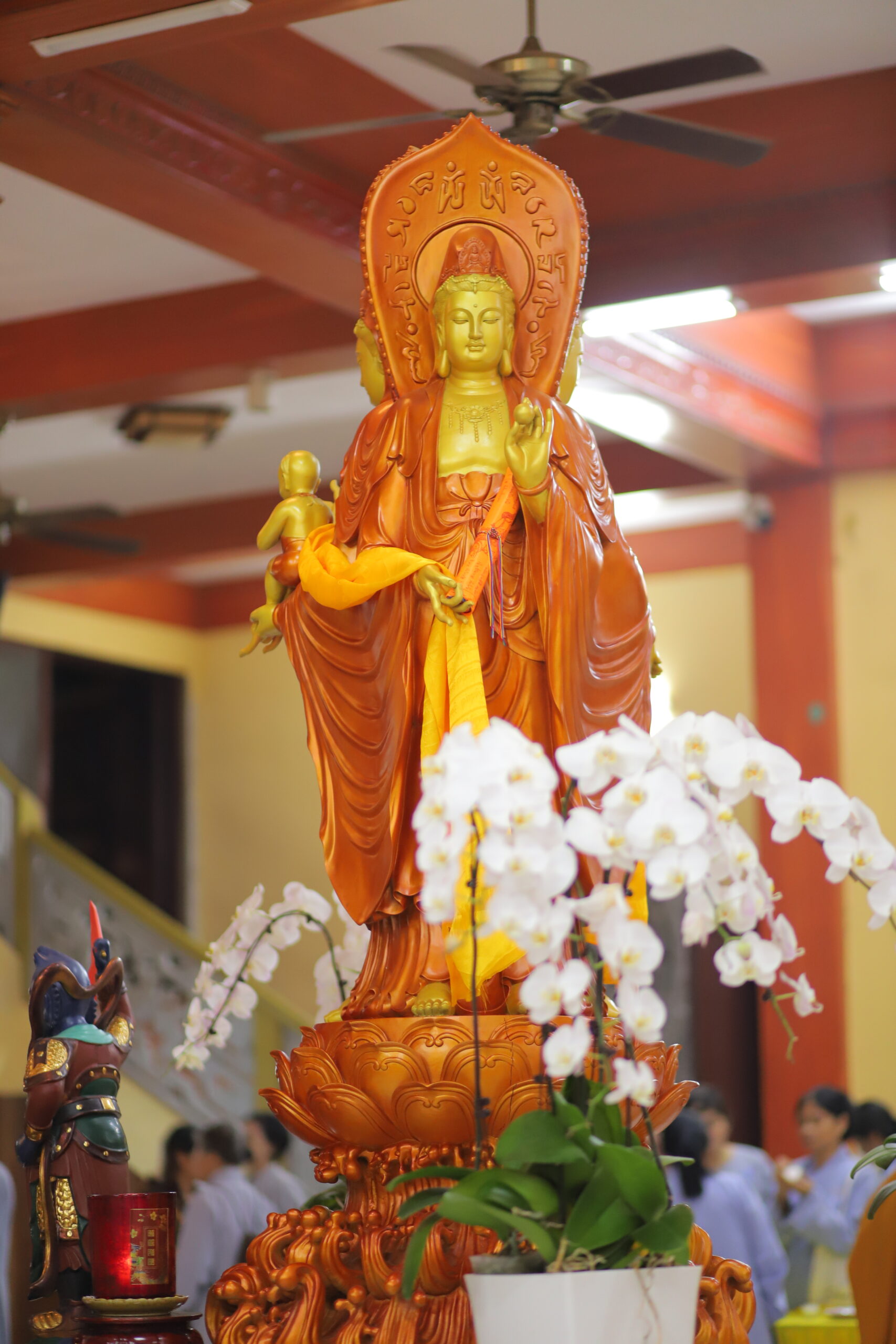 Hình ảnh minh họa